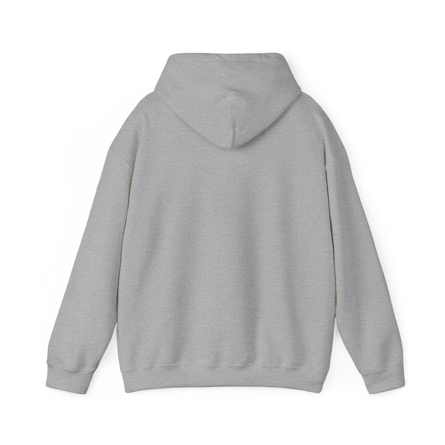 Northern Lights Aurora hoodie | aurora art, stargazing sky show