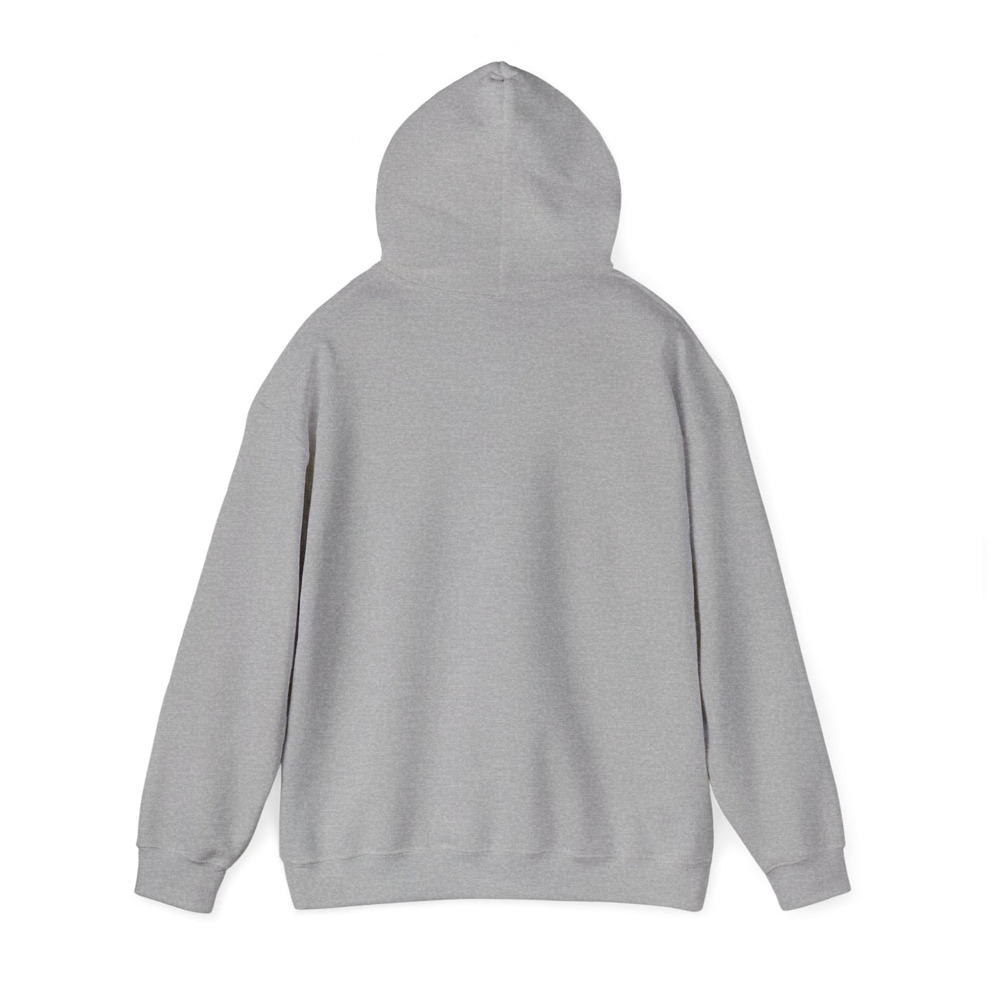 Platonic Love Hug Hoodie | Friendship-First, BFF Sweatshirt