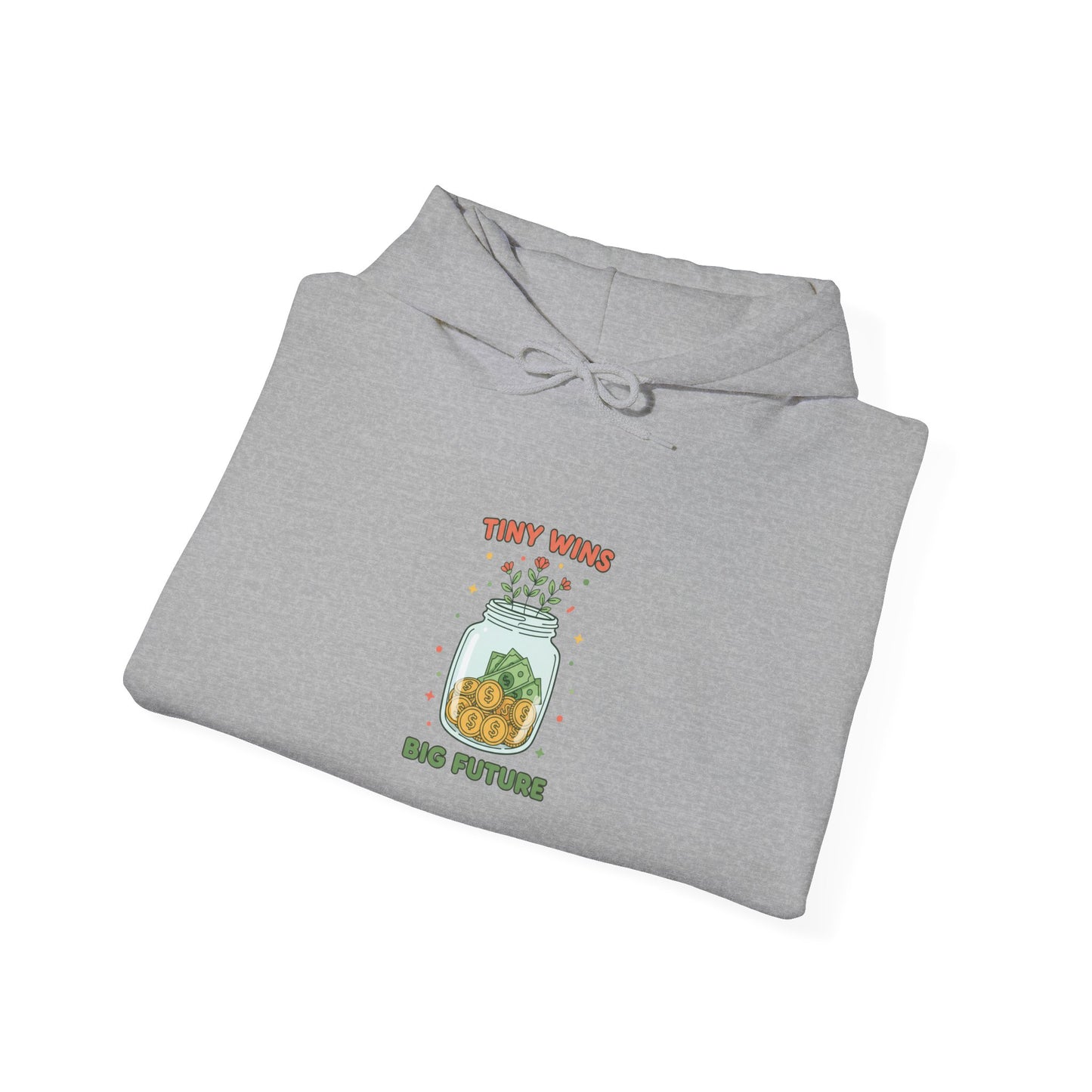 Tiny Wins, Big Future Hoodie | budget life, small wins