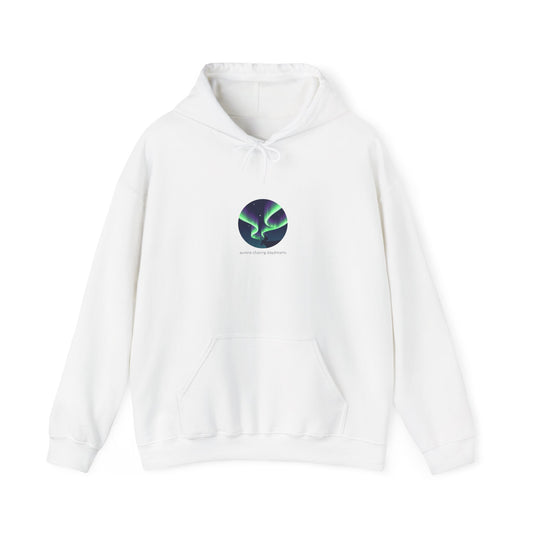 Northern Lights Aurora hoodie | aurora art, stargazing sky show