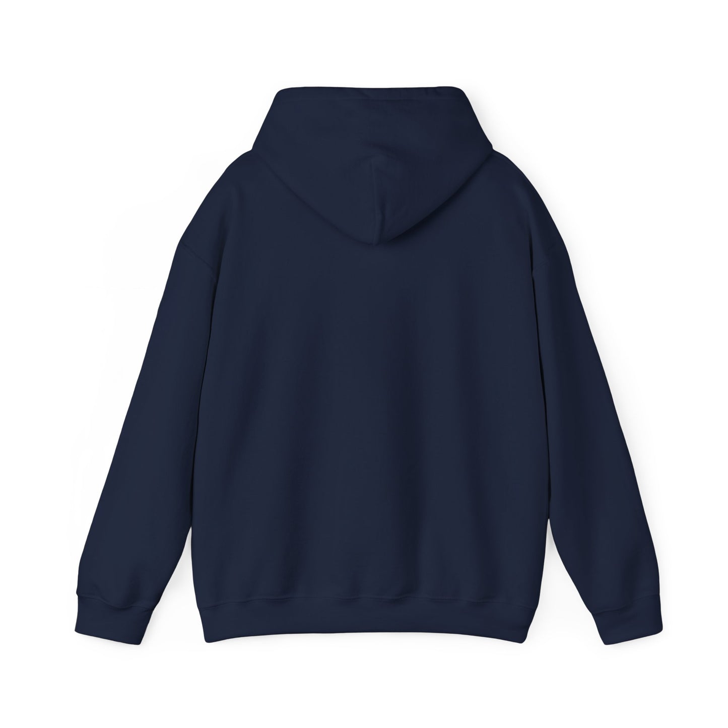 Tiny Wins, Big Future Hoodie | budget life, small wins