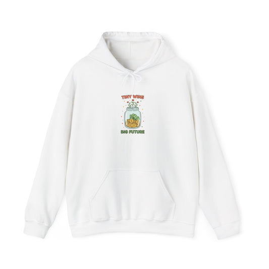 Tiny Wins, Big Future Hoodie | budget life, small wins
